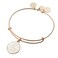Alex and Ani Be the Light Charm Bangle