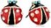 Betsey Johnson Red Black Ladybug Stud Earrings