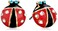 Betsey Johnson Red Black Ladybug Stud Earrings