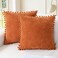 CaliTime Fall Throw Pillow Covers Decorative 16 X 16 Inches Pack of 2 Cozy Solid Dyed Soft Chenille Cushion Cases with Pom Poms for Couch Sofa Bed Living Room Home Burnt Orange