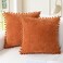 CaliTime Fall Throw Pillow Covers Decorative 16 X 16 Inches Pack of 2 Cozy Solid Dyed Soft Chenille Cushion Cases with Pom Poms for Couch Sofa Bed Living Room Home Burnt Orange