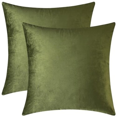 Mixhug Decorative Throw Pillow Covers Velvet Cushion Covers Solid Throw Pillow Cases for Couch and Bed Pillows Moss Green 20 x 20 Inches Set of 2