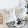 NordECO HOME Luxury Soft Faux Fur Fleece Cushion Cover Pillowcase Decorative Throw Pillows Covers No Pillow Insert 18 x 18 Inch Brown Ombre 2 Pack