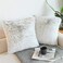 NordECO HOME Luxury Soft Faux Fur Fleece Cushion Cover Pillowcase Decorative Throw Pillows Covers No Pillow Insert 18 x 18 Inch Brown Ombre 2 Pack