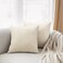 All Smiles Throw Pillow Covers 18x18 Set of 2 Beige Linen Neutral Decorative Farmhouse Dcor Burlap Accent Euro Sham Cushion Cases Home Decorations Indoor Outdoor for Bed Sofa Couch Patio