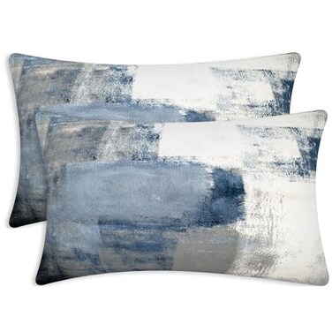 Alricc Lumbar Throw Pillow CoversPack of 2 Soft Velvet Decorative Cushion Cover for Sofa Bedroom Car 12X20 inch Blue and Grey