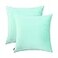 Jeneoo Comfy Soft Thick Velvet Throw Pillow Covers Decorative Solid Square Couch Cushion Cases for Bedroom Sofa Car Decor Mint Green 18 x 18 Inches 2 Pieces