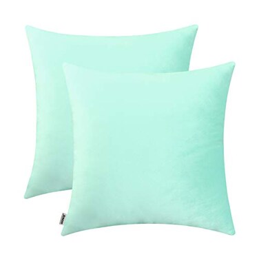 Jeneoo Comfy Soft Thick Velvet Throw Pillow Covers Decorative Solid Square Couch Cushion Cases for Bedroom Sofa Car Decor Mint Green 18 x 18 Inches 2 Pieces