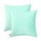 Jeneoo Comfy Soft Thick Velvet Throw Pillow Covers Decorative Solid Square Couch Cushion Cases for Bedroom Sofa Car Decor Mint Green 18 x 18 Inches 2 Pieces