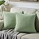Fancy Homi Pack of 2 Sage Green Decorative Throw Pillow Covers with Pompoms Soft Corduroy Solid Square Cushion Cases Set for Couch Sofa Bedroom Car Living Room 20x20 Inch50x50 cm Sage Green