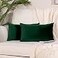 Stellhome Pack of 2 Velvet Throw Pillow Covers Rectangle Super Soft Solid Pillowcase for Bed Couch Sofa Bench 12 x 20 inch 30 x 50 cm Dark Green