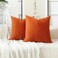 Stellhome Fall Decorative Velvet Throw Pillow Covers Square Soft Cushion Covers for Bed Couch Sofa Bench 16 x 16 inch 40 x 40 cm Burnt Orange Pack of 2