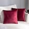 Stellhome Cozy Velvet Pillow Covers Square Decorative Throw Pillow Covers for Bed Couch Sofa Bench 20 x 20 inch 50 cm Burgundy Pack of 2
