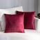 Stellhome Cozy Velvet Pillow Covers Square Decorative Throw Pillow Covers for Bed Couch Sofa Bench 20 x 20 inch 50 cm Burgundy Pack of 2