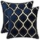 DEZENE Gold Velvet Throw Pillow Covers Navy 2 Pack 18x18 Inch Square Decorative Pillow Cases for Bedroom Sofa Couch Living Room