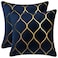 DEZENE Gold Velvet Throw Pillow Covers Navy 2 Pack 18x18 Inch Square Decorative Pillow Cases for Bedroom Sofa Couch Living Room