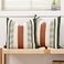 Vfuty Decorative Farmhouse Throw Pillow Covers 18x18 Accent Faux Leather Pillowcase Rustic Boho DecorOlive Green and Beige Cover ONLY Pack of 2