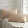 Phantoscope Pack of 2 Velvet Decorative Throw Decorative Pillow Cover Soft Solid Square Cushion Case for Couch Beige 12 x 20 inches 30 x 50 cm