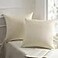 Phantoscope Pack of 2 Velvet Decorative Throw Decorative Pillow Cover Soft Solid Square Cushion Case for Couch Off White 26 x 26 inches 65 x 65 cm