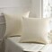 Phantoscope Pack of 2 Velvet Decorative Throw Decorative Pillow Cover Soft Solid Square Cushion Case for Couch Off White 26 x 26 inches 65 x 65 cm