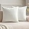 MIULEE Velvet Throw Pillow Covers 20x20 Inch Pack of 2 Pure White Soft Solid Decorative Pillow Covers Cushion Cases Modern Luxury Home Decor for Spring Couch Sofa Bedroom Livingroom