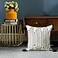 LIGICKY Boho Throw Pillow Covers with Tassel Decorative Square Woven Pillowcase for Couch Sofa Bed Black and White 18x18 Inch