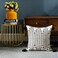 LIGICKY Boho Throw Pillow Covers with Tassel Decorative Square Woven Pillowcase for Couch Sofa Bed Black and White 18x18 Inch