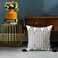 LIGICKY Boho Throw Pillow Covers with Tassel Decorative Square Woven Pillowcase for Couch Sofa Bed Black and White 18x18 Inch