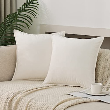 JIAHANNHA Velvet White Throw Pillow Covers Pack of 2 Spring Decorative Soft for Couch Sofa Bed Livingroom Office 1818 Inches