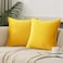 JIAHANNHA Velvet Bright Yellow Throw Pillow Covers Pack of 2 Spring Decorative Soft for Couch Sofa Bed Livingroom Office 1818 Inches