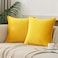 JIAHANNHA Velvet Bright Yellow Throw Pillow Covers Pack of 2 Spring Decorative Soft for Couch Sofa Bed Livingroom Office 1818 Inches