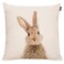 GTEXT Easter Rabbit Throw Pillow Case Cushion Cover Spring Home Decoration Cotton Linen 18 x 18 Inch