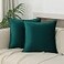 JIAHANNHA Velvet Green Throw Pillow Covers 24x24 Inches Pack of 2 Soft Decorative Square Cushion Covers for Couch Sofa Bed Livingroom Car60x60Cm