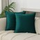 JIAHANNHA Velvet Green Throw Pillow Covers 24x24 Inches Pack of 2 Soft Decorative Square Cushion Covers for Couch Sofa Bed Livingroom Car60x60Cm