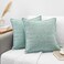 Oveesha 18x18 Pillow Covers for Couch Pillows Mint Green Set of 2 Decorative Soft Textured Cozy Chenille Cushions Covers Modern Deco Covers for Sofa Pillows Decor Pillow Covers Square Pillowcase