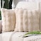 MADIZZ Pack of 2 Thick Plush Faux Wool Throw Pillow Covers Soft Boho Throw Pillows Luxurious Cushion Covers for Couch Sofa Bedroom Living Room Home Decor Euro Sham 24x24 Inch Beige