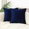 JIAHANNHA Velvet Navy Blue Throw Pillow Covers Pack of 2 Decorative Soft for Couch Sofa Bedroom Livingroom Car 1616 Inches
