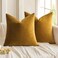 MIULEE Pack of 2 Mustard Yellow Pillow Covers 18x18 Inch Decorative Velvet Throw Pillow Covers Modern Soft Couch Throw Pillows Farmhouse Spring Home Decor for Sofa Bedroom Living Room