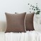 LIGICKY Set of 2 Light Brown Throw Pillow Covers Modern Minimalist Style Solid Decorative White Rope Edging Soft Square Cushion Cases for Sofa Bedroom Party Dcor 18 x 18 inch