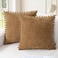 CaliTime Throw Pillow Covers Decorative 18 X 18 Inches Pack of 2 Cozy Solid Dyed Soft Chenille Cushion Cases with Pom Poms for Couch Sofa Bed Living Room Home Apricot Brown