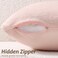Pallene Faux Fur Plush Throw Pillow Covers 18x18 Set of 2 Luxury Soft Fluffy Cozy Decorative Pillow Covers for Sofa Couch Living Room Blush Pink