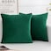 HERAYLI Velvet Decorative Throw Pillow Covers Soft Square Cushion Case Home Decor for Living Room Couch Bed Sofa Set of 2 Pack Christmas Green 18x18 Inch