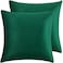 HERAYLI Velvet Decorative Throw Pillow Covers Soft Square Cushion Case Home Decor for Living Room Couch Bed Sofa Set of 2 Pack Christmas Green 18x18 Inch