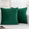 HERAYLI Velvet Decorative Throw Pillow Covers Soft Square Cushion Case Home Decor for Living Room Couch Bed Sofa Set of 2 Pack Christmas Green 18x18 Inch