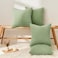 Topfinel Decorative Sage Green Throw Pillow Covers Cushion Cases Set of 4 Soft Velvet Modern DoubleSided Designs Match for Home Decor Pillow Inserts Not Included 18x18 inch