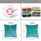 Tosleo Aqua Green Velvet Throw Pillow Covers 16x16 Pack of 2 with Gold Leather Decorative Couch Pillow Cover Luxury Modern Soft Pillowcases Spring Summer Home Decor for Sofa Bed Living Room