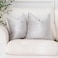 NiNi ALL Velour Throw Pillow Covers Silver Grey 18x18 Inch Set of 2 Decorative Luxurious Velvet Pillow Cover Glossy Pillowcase Cushion Cases for Couch Sofa and Home Decor