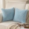 MANDIOO Pack of 2 Light Blue Super Soft Plush Fluffy Decorative Throw Pillow Covers 18x18 inch Faux Fur Wool Velvet Cushion Covers Pillow Cases Couch Sofa Bed Living Room