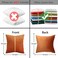 Tosleo Burnt Orange Velvet Throw Pillow Covers 16x16 Pack of 2 with Gold Leather Christmas Decorative Couch Pillowcases Luxury Modern Soft Pillow Cover Spring Summer Home Decor for Sofa Bed
