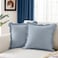 Ohocut Scalloped Pillow Cover Pack of 2 Spring Chenille Decorative Throw Pillow Covers Cute Boho Couch Pillow Covers Aesthetic Funky Preppy Pillow Cases for Sofa Living Room Misty Blue 18x18 Inch